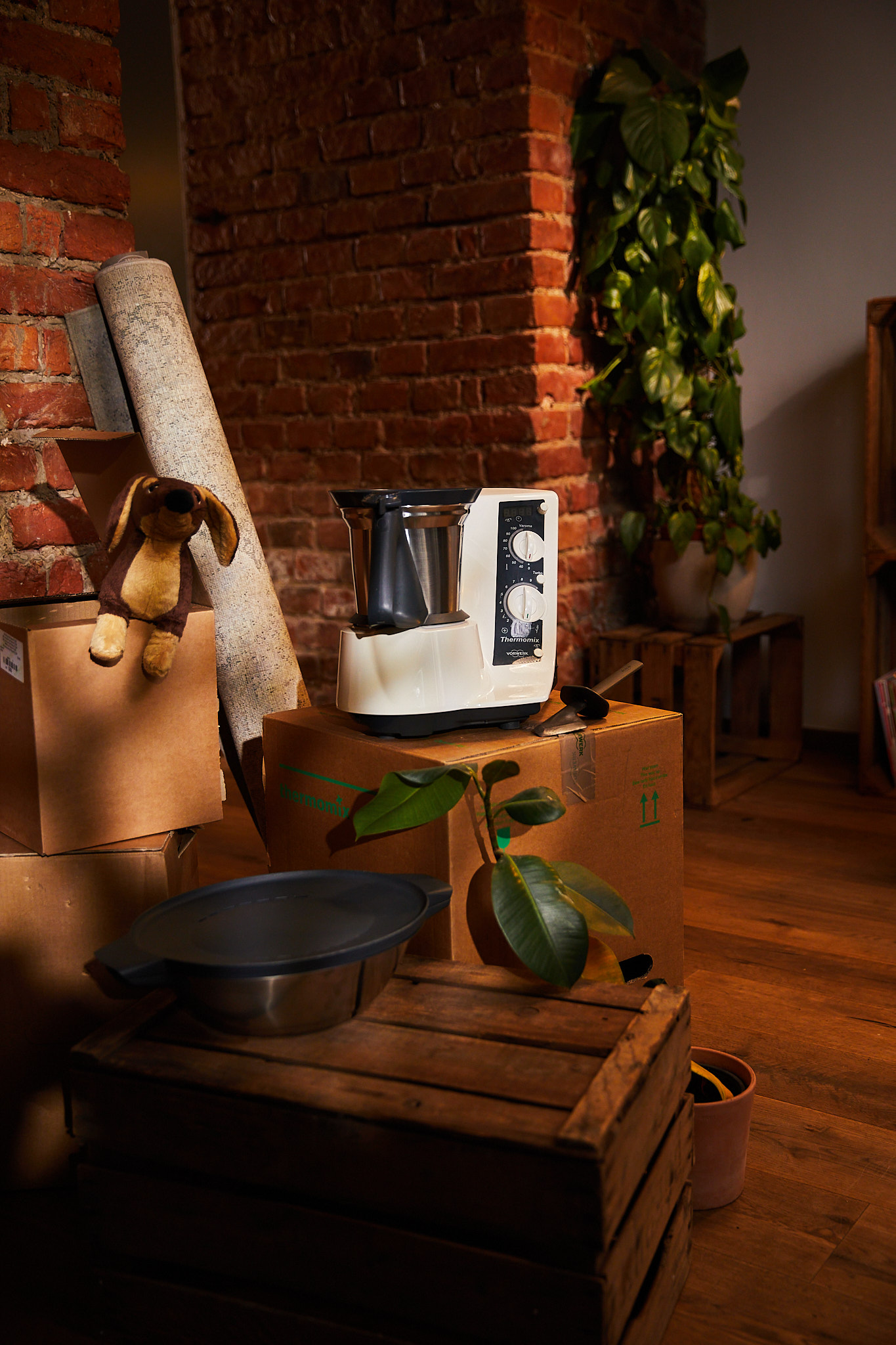 Thermomix als treuer Küchenbegleiter – Szene mit Umzugskartons aus der aime Jubiläumskampagne „50 Jahre Thermomix“ zur emotionalen Markeninszenierung.